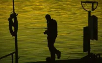 NO COW ON THE ICE + OJO SALVAJE