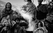 SOCOTRA, LA ISLA DE LOS GENIOS