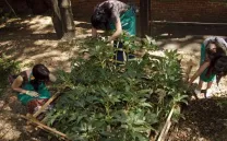 TALLER PARA EL CUIDADO DEL JARDÍN AVANT GARDEN