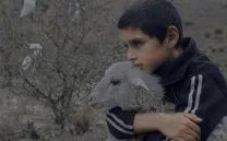 THE SHORTEST DAYS – POLISH WAVE