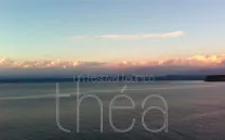 OPEN TERRARIO / ESCENARIOS DEL STREAMING