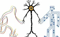 1º FORO PROFESIONAL T-TOC-A