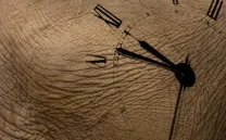 REFLEXIONES INÉDITAS SOBRE LOS USOS DEL TIEMPO