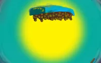 Cortesía de la artista dominicana Yaneris Gomez Gonzalez