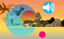 Comunicador Inter-especial