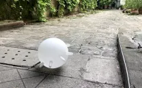 The Glove. Eric Baudelaire, 2020