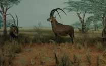 Programa en vivo Contra la raza 2