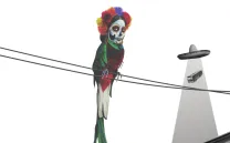 Festival Animario 2025 Cineteca Madrid