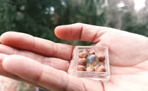 Mano sujeta una caja con canicas