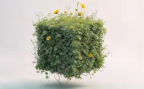 Cubo vegetal con florecillas amarillas