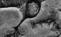 Texturas en blanco y negro