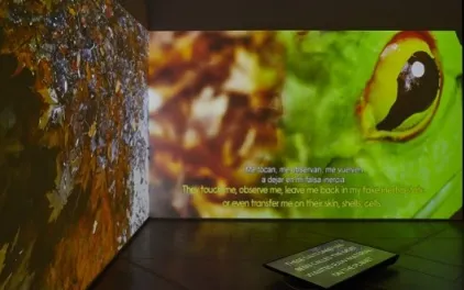 ECO-VISIONARIOS