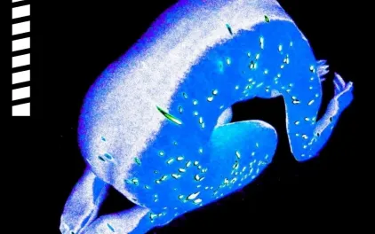  Cosmologías Microbianas