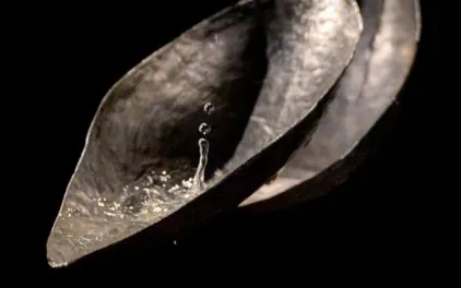 PROGRAMA ABIERTOXOBRAS CRISTINA MEJÍAS