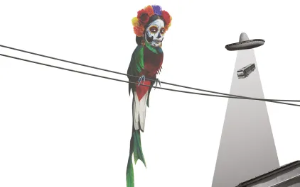 PROGRAMA ANIMARIO 2025